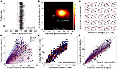 Dynamic control of eye-head gaze shifts by a spiking neural network model of the superior colliculus